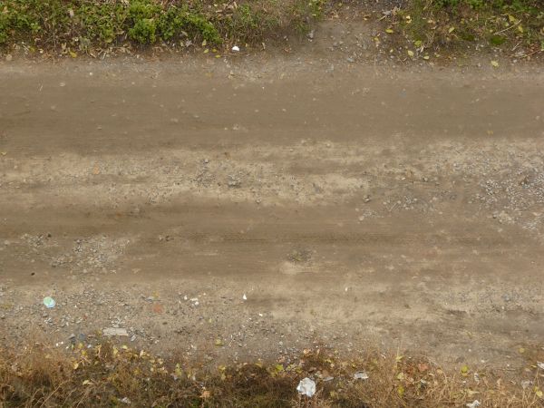 Texture of wet road with mixed, dirt and gravel surface and vegetation at boarders.
